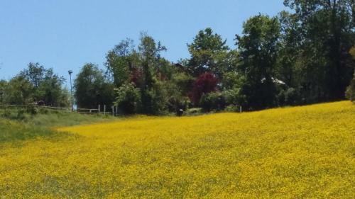 Agroturismo Agriturismo Montevecchio Isolani