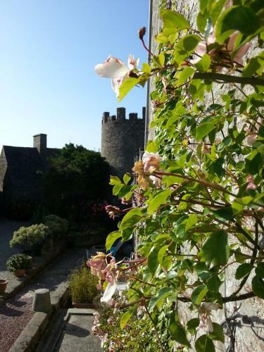 Bed & Breakfast Ch�teau Du Rozel