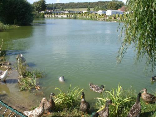 Hotel Auberge Des Etangs