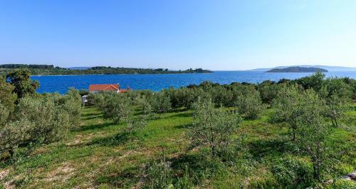 Beachfront Luxury Villa W Pool & Large Garden