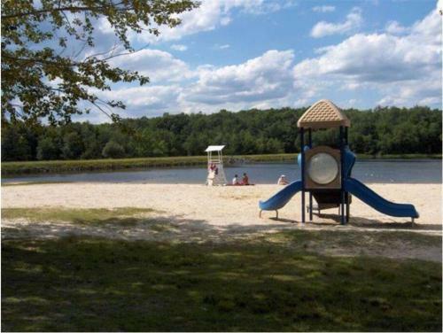 Poconos Cabin-game Room-firepit-patio-bbq-5 Lakes
