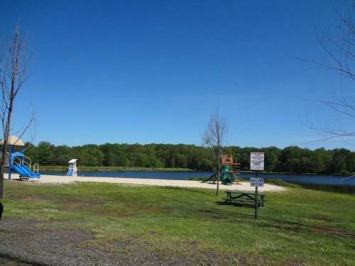 Poconos Cabin-game Room-firepit-patio-bbq-5 Lakes