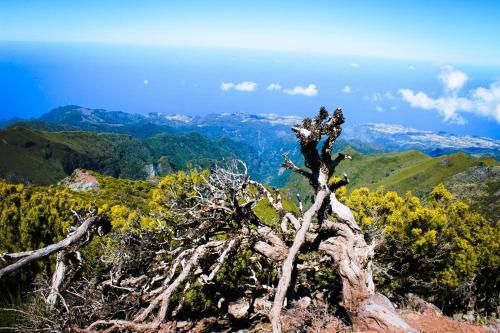 Apartamento Villa Scirocco Madeira - Ocean View