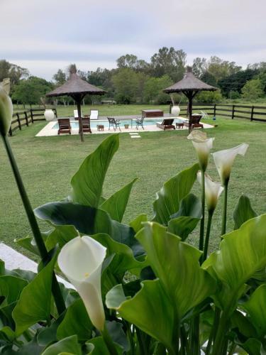 Agroturismo Estancia La Aida