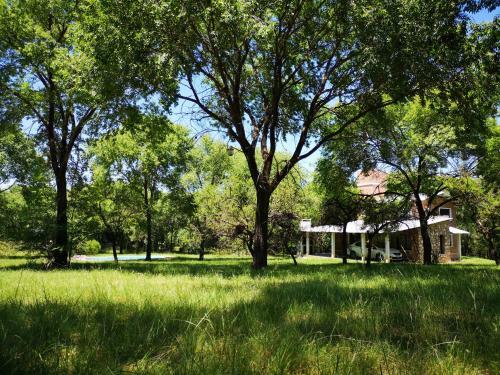 El Campito