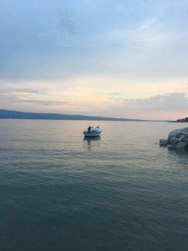 Apartments Stani? - Apartments With Sea View And Sandy Beach