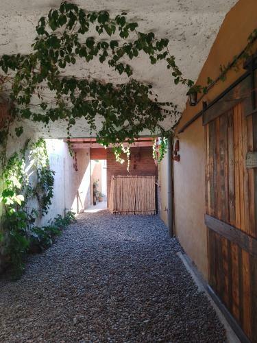 Apartamento Flor De Las Sierras