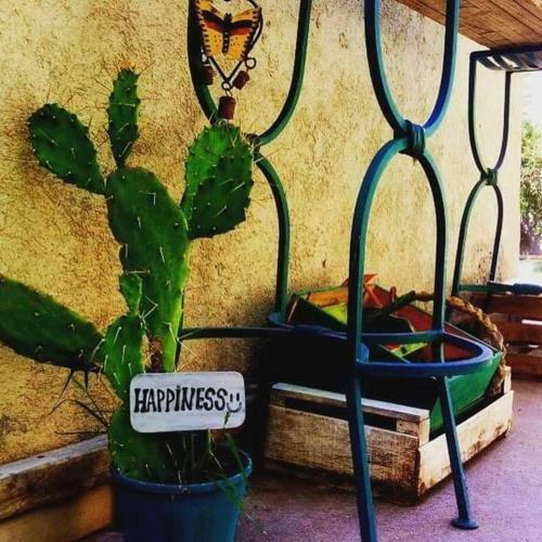 Mendoza Leisure Time Chacras De Coria