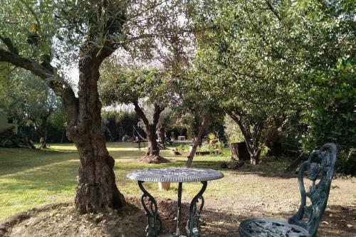 Apartamento Aromos De Olivares
