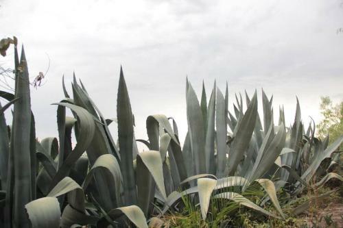 C�lida Casa En El Coraz�n de Chacras Hermosa Vista