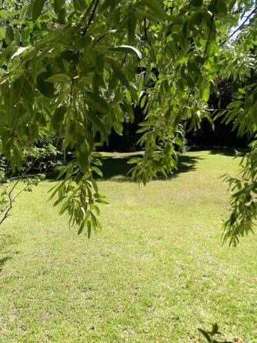 La Casita En El Parque