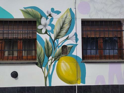 Casa Lim�n