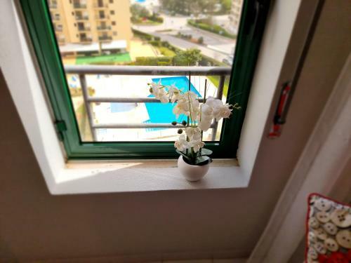 Apartamento Encantador Com Piscina Aquecida