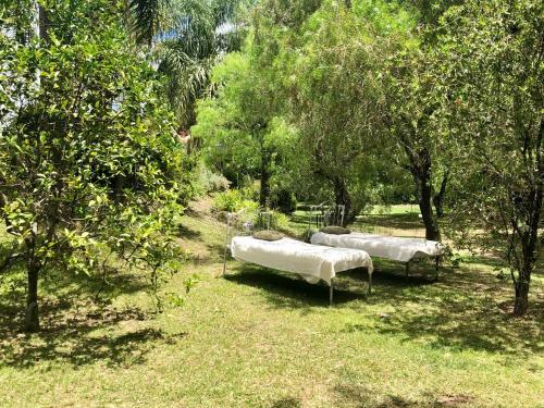 Apartamento La Soleada Caba�as