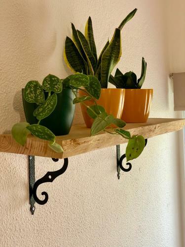 Apartamento Casual House