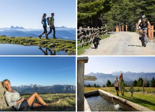 Gran Panorama Wellnesshotel Sambergerhof