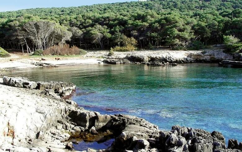Bed & Breakfast Villa Itaca