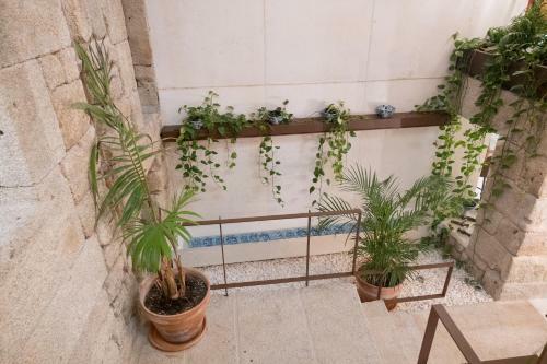 Agroturismo Casa Das Ameias