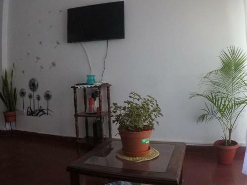 Ona Apart Por D�a
