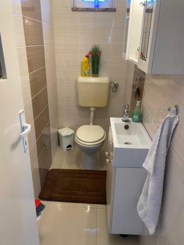 Apartment Dragan