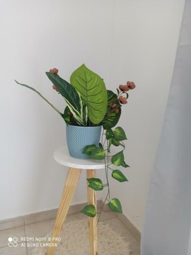 Apartamento Vista Al R�o Con Cochera