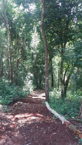 Lodge Caba�as Del Paraiso