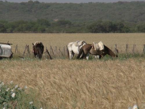 Estancia R�o Quinto