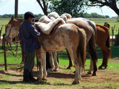 Estancia R�o Quinto