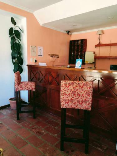 Albergue Pint� Terraza