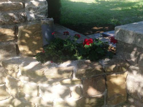 Studio Apartman Cami - Cottage With A Soul