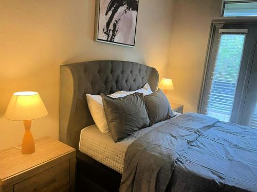 Luxury Apartments Near Downtown Austin