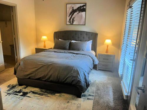 Luxury Apartments Near Downtown Austin
