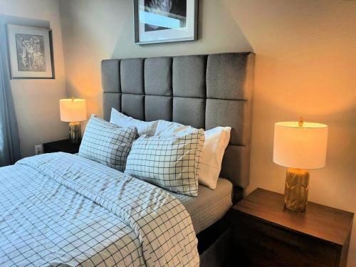 Luxury Apartments Near Downtown Austin