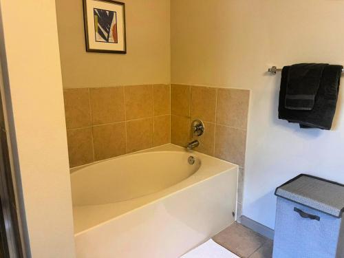 Luxury Apartments Near Downtown Austin