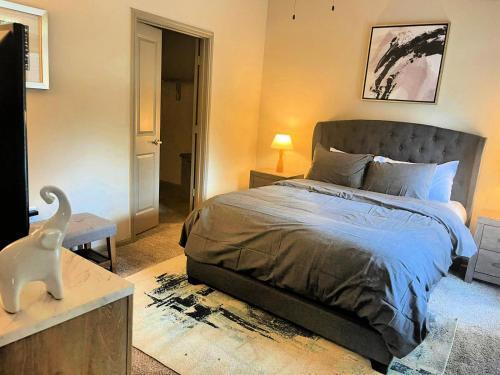 Luxury Apartments Near Downtown Austin