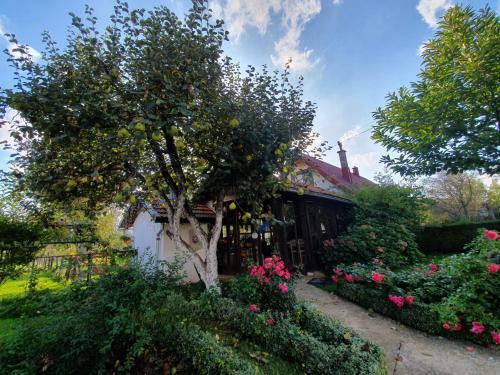 Apartamento Village House Flowerside
