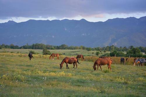 Agroturismo Stay In Touch