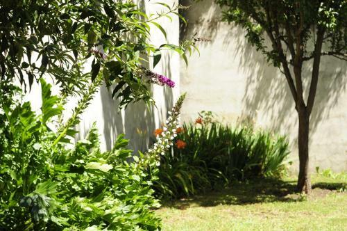 Casa �ire