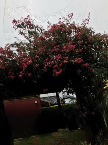 Linda Casa De Campo - Pr�ximo � Sp - Wi-fi Gr�tis
