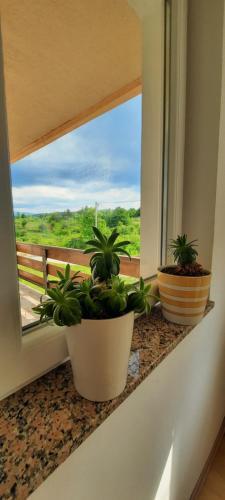Villa House Anita