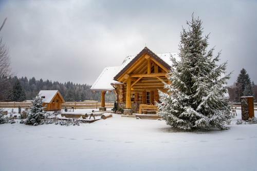 Divjake Log Home - Kraljica ?ume