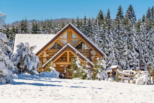 Divjake Log Home - Kraljica ?ume