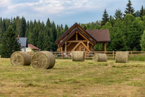 Divjake Log Home - Kraljica ?ume