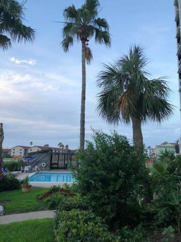 Apartamento Best View In Galveston