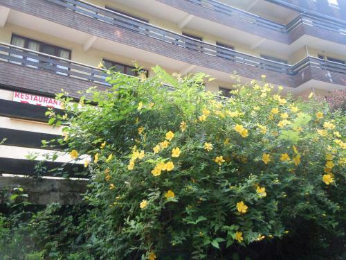 Hotel H�tel Le Laca