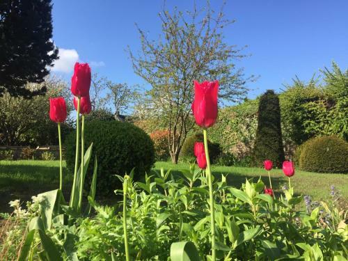 Bed & Breakfast Le Presbyt�re