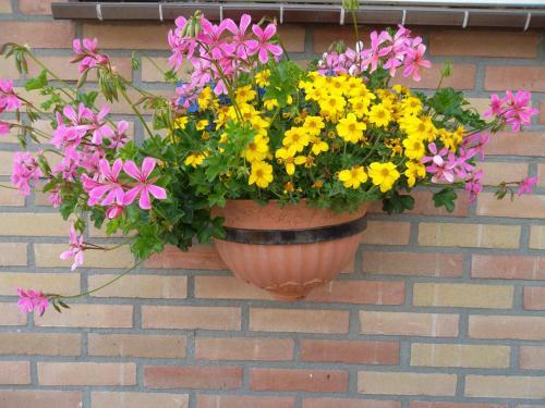 Bed & Breakfast Hof Van Lutten
