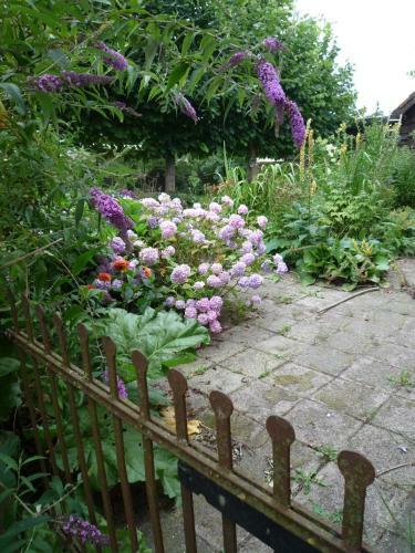 Bed & Breakfast Huize De Rode Beuk