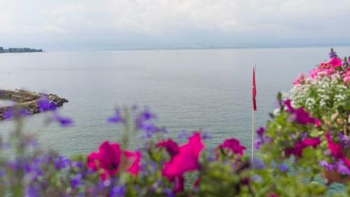 Hotel H�tel Des Princes