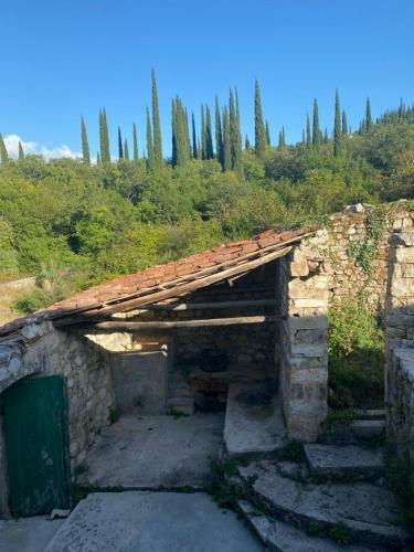 House Of Spirits
